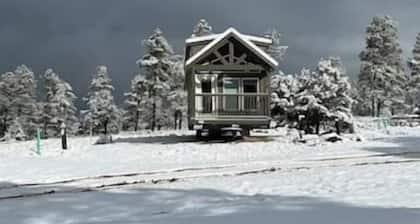 Luxury Cabin with Mountain View 5A