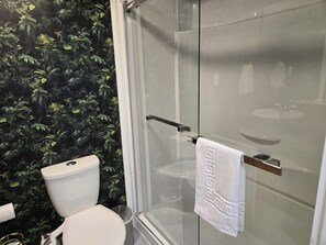 Shower, hair dryer, bidet, towels