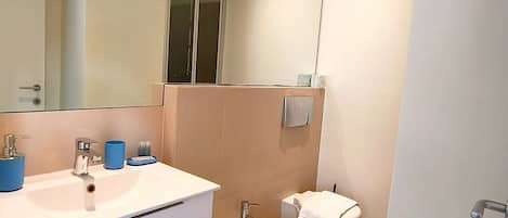 Shower, hair dryer, bidet, towels