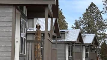 Luxury Cabin, Non Smoking, Mountain View | Exterior