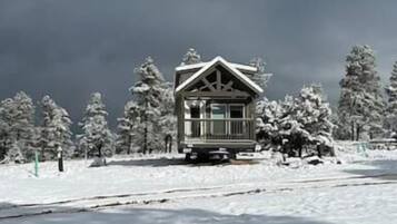 Luxury Cabin, Non Smoking, Mountain View | Exterior