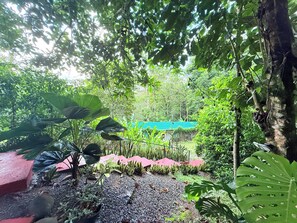 Property grounds - Modern 2 Bedroom Scenic Retreat w/ Pool and Fitness Studio (Paraiso)