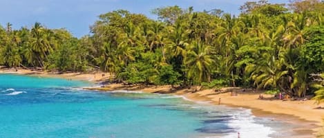 Playa en los alrededores