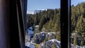 Vista a través de una ventana que muestra un paisaje montañoso con rocas nevadas y un bosque denso.