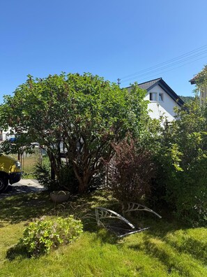 Overnattingsstedets uteområder