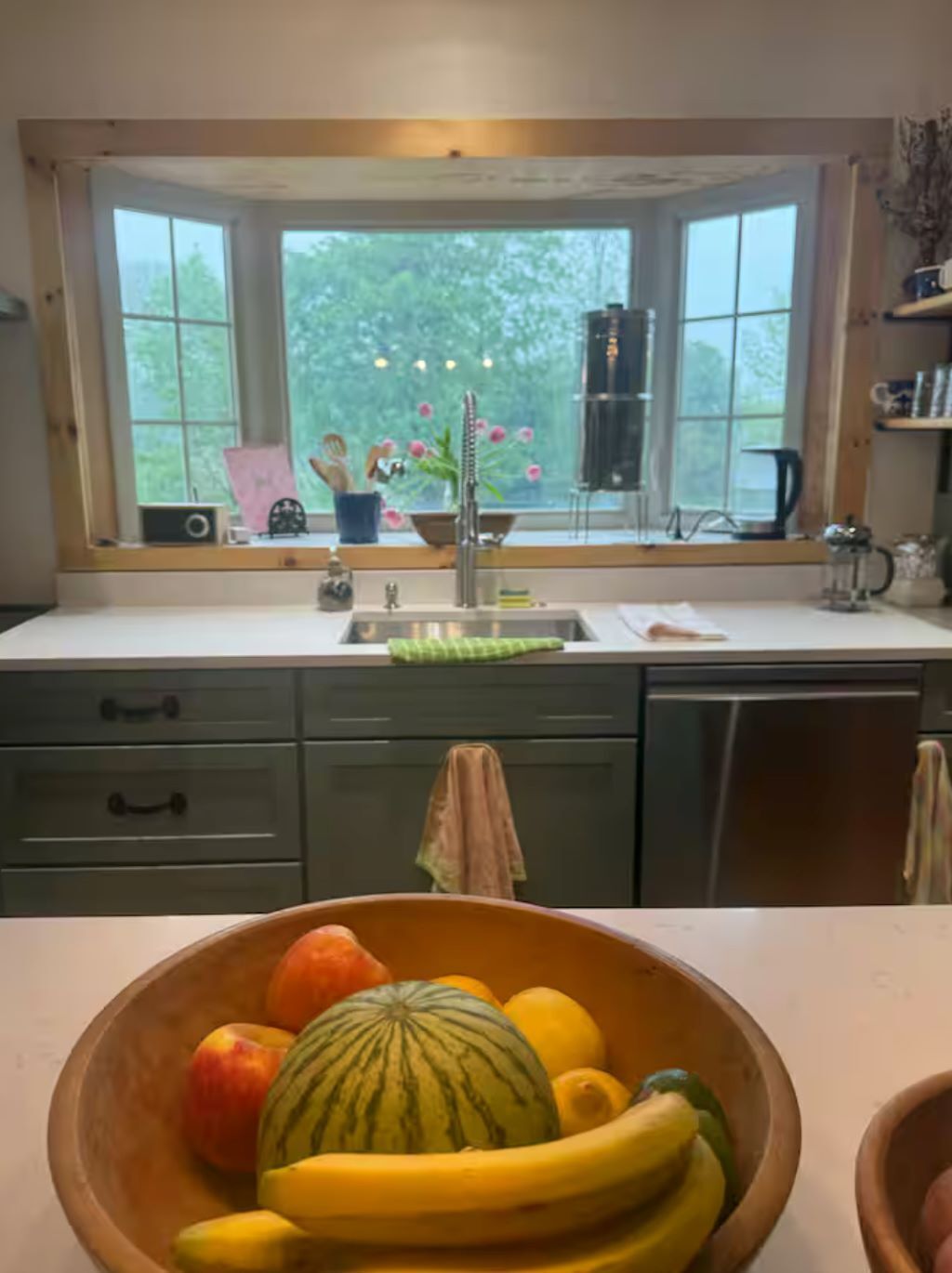 Oven, stovetop, dishwasher