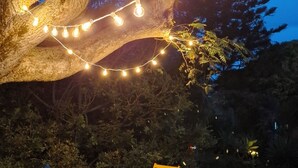 Un área de estar al aire libre con sillas y una mesa bajo un árbol, luces colgantes y un seto al fondo.