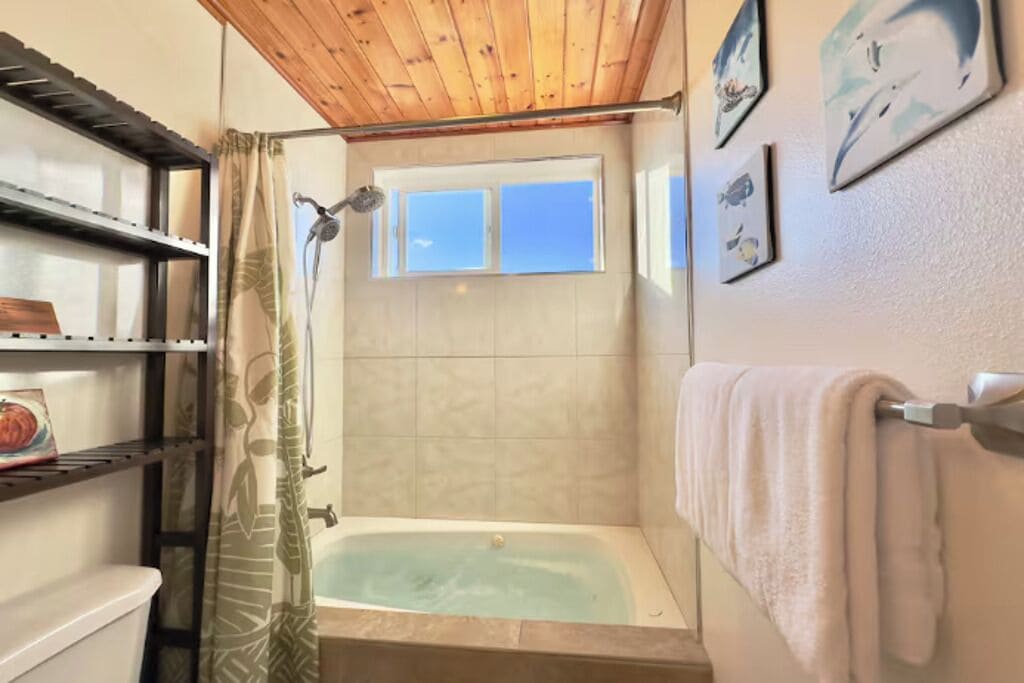 Shower, eco-friendly toiletries, hair dryer, towels