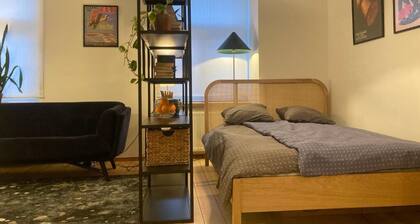 Charming 1-bedroom studio in the heart of Tallinn