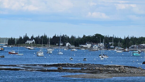 A harbor with multiple boats, a rocky shoreline, and a backdrop of houses and trees. - Black Seal Chalet-Acadia NP-Wooded Rental-SWH ME (Southwest Harbor)