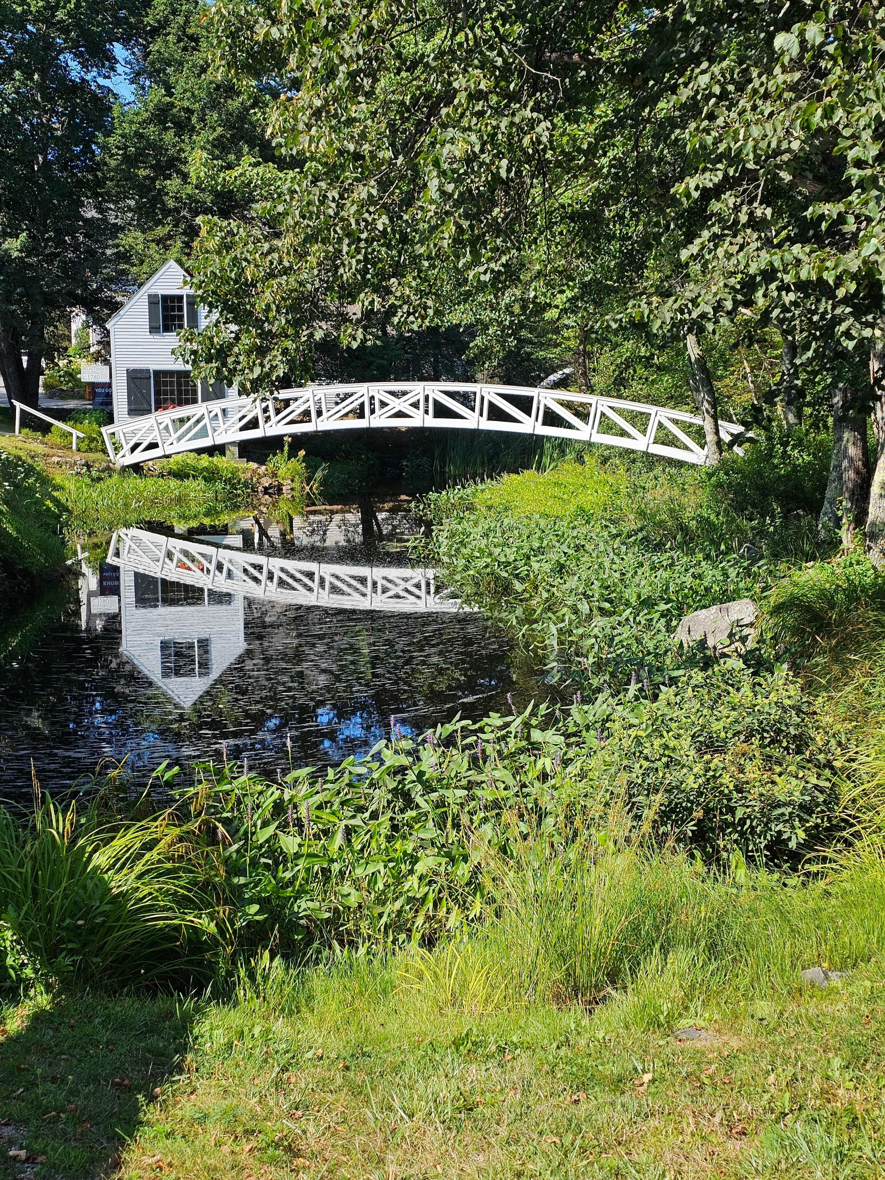 A white bridge over a pond with lush greenery and a building in the background.