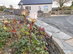 Exterior detail - Duffy Lodge (Kilmackilloo)