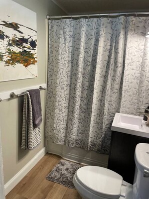 Hair dryer - Close to U in Champaign, 2 Bedroom House (Champaign)