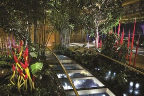 Terrain de l’hébergement 