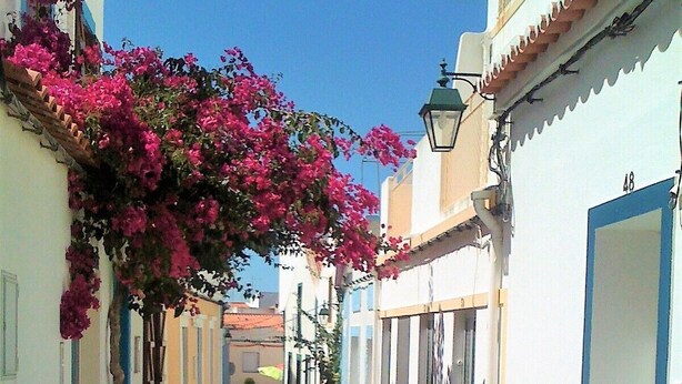 A narrow cobblestone street flanked by buildings with blue and white facades, a hanging pink bougainvillea, and a clear blue sky. - Apartment in Portimão City Centre (Portimão)