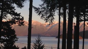 Une zone boisée avec de grands arbres et une chaîne de montagnes en arrière-plan.
