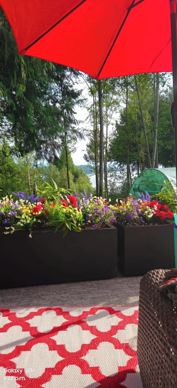 Terrace/patio - Adorable 2-bedroom house with AC, peaceful surroundings and Ocean Views. (Sechelt)