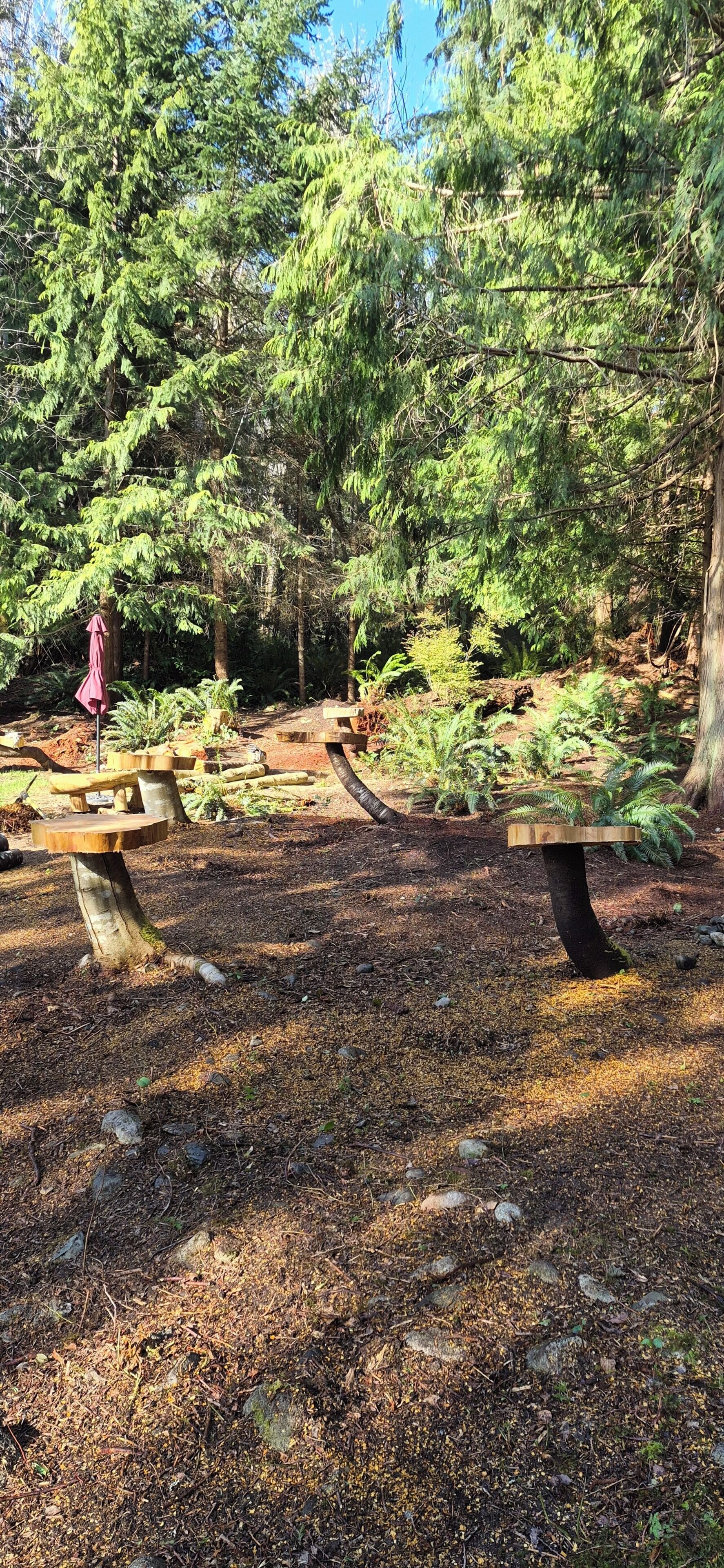 A forested area with picnic tables and a bench.