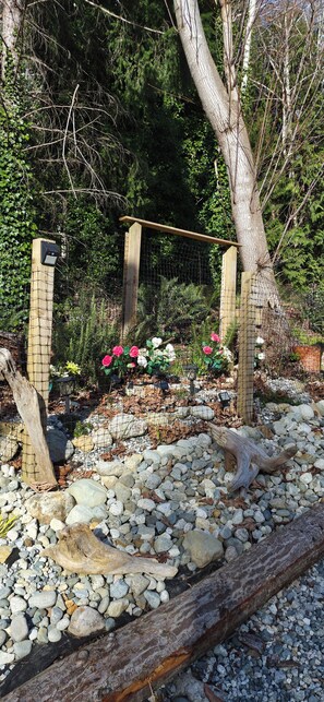 Property grounds - Adorable 2-bedroom house with AC, peaceful surroundings and Ocean Views. (Sechelt)