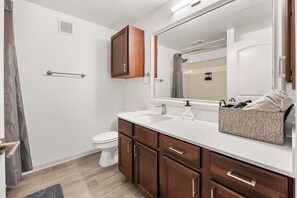 Hair dryer, towels, soap, toilet paper - Modern Styled  1 King+Sofa Bed Retreat Frisco, TX (Frisco)