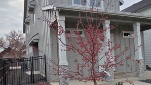 Une maison à deux étages, avec une façade grise, une clôture noire et un petit arbre aux baies rouges dans le jardin.