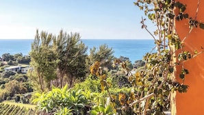 Eine Küstenlandschaft mit Blick auf das Meer, Vegetation und ein Gebäude mit roter Mauer.