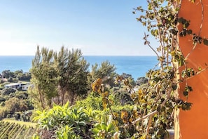 Property grounds - The Villino at Cypress Ridge Estate (Waiheke Island)