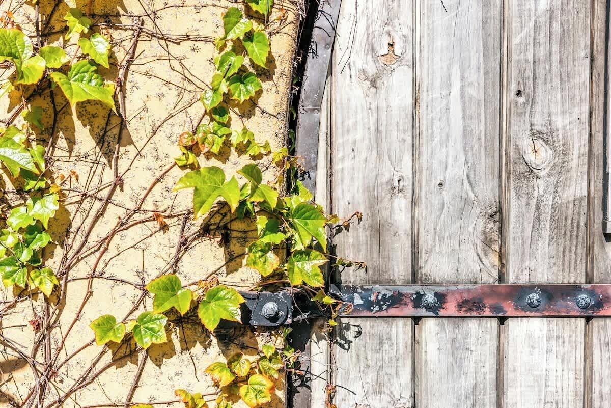 Details aan de buitenkant