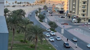 A coastal road with palm trees, a roundabout, and buildings in the background.