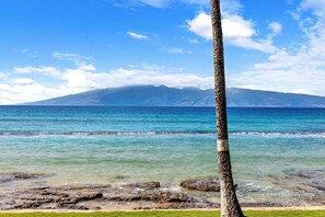 Beach nearby - New Listing! Oceanfront 2BR Maui Escape (Honokowai)