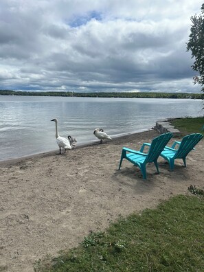 Beach - Beach Life (Kawartha Lakes)