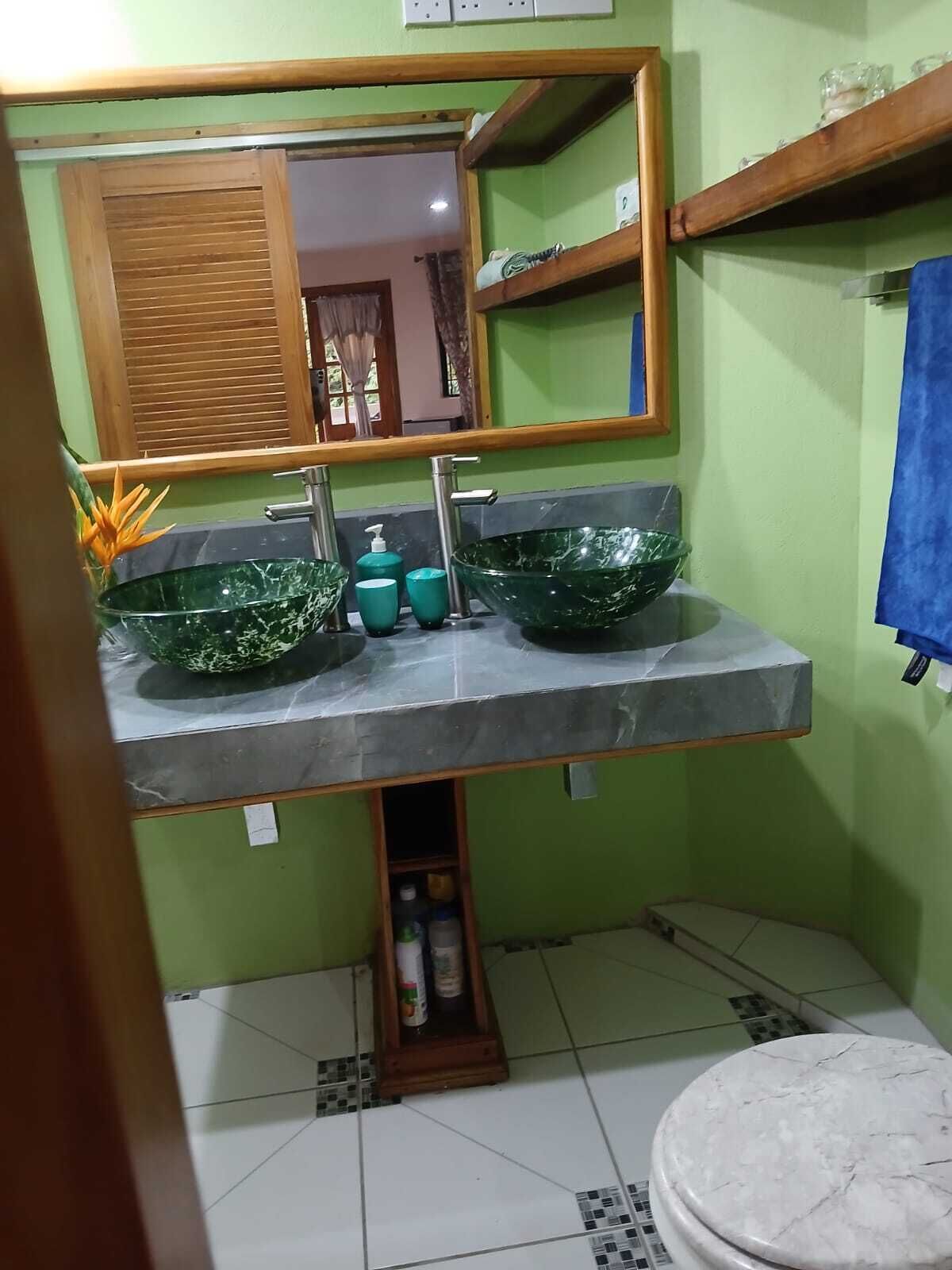 Bidet, towels, soap, toilet paper