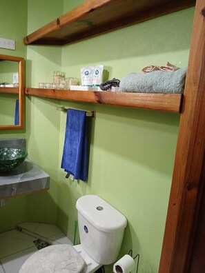 Bidet, towels, soap, toilet paper