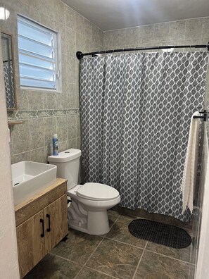 Hair dryer, towels, soap, toilet paper - The suite by LM (buena vista)
