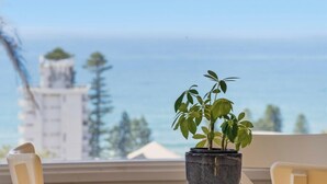 Een potplant op een balkon met uitzicht op de oceaan en gebouwen.