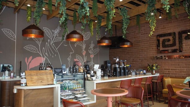 Ein Café-Interieur mit hängenden Pflanzen, einer Kaffeebar und Sitzbereichen.