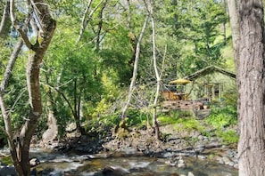 A rustic cabin surrounded by a dense forest with a stream flowing through. - Wine Country Creekside Cottage Bridge & Day Studio (Kenwood)