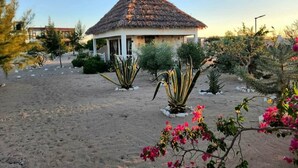 A thatched-roof structure with a sandy surrounding, surrounded by various plants and shrubs.