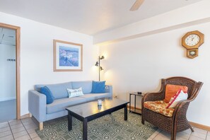 TV, DVD player, books, video library - Maple Lake Cottage- pet friendly- boat dock (Paw Paw)