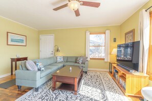 TV, DVD player, books, video library