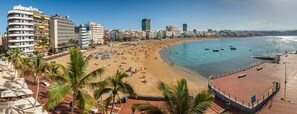 Una spiaggia con una passeggiata, palme e edifici sullo sfondo.