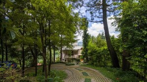Un camino empedrado en un jardín, abundante vegetación y un edificio al fondo.