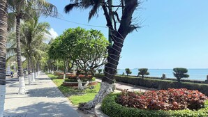 Une promenade dallée bordée de palmiers et un jardin aménagé offrant une vue sur la mer.