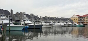 A marina with boats docked, a row of buildings in the background, and calm water. - Waterfront Harbour Island Downtown Stunning Bay View Walk to Beach & Boardwalk (Ocean City)
