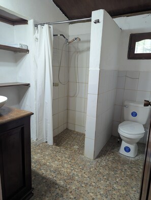 Shower, towels, toilet paper