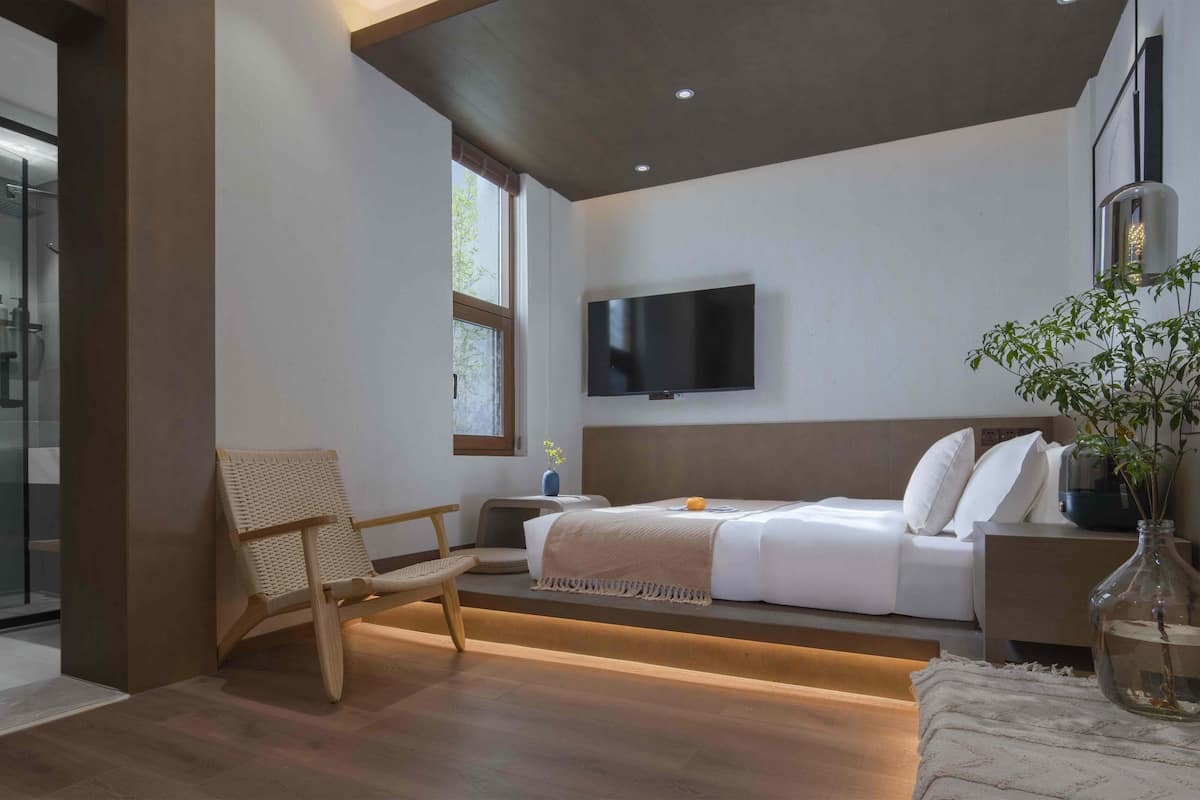 A modern hotel room with a glass shower enclosure, a wooden chair, a bed with a TV above it, and a plant on the bedside table.