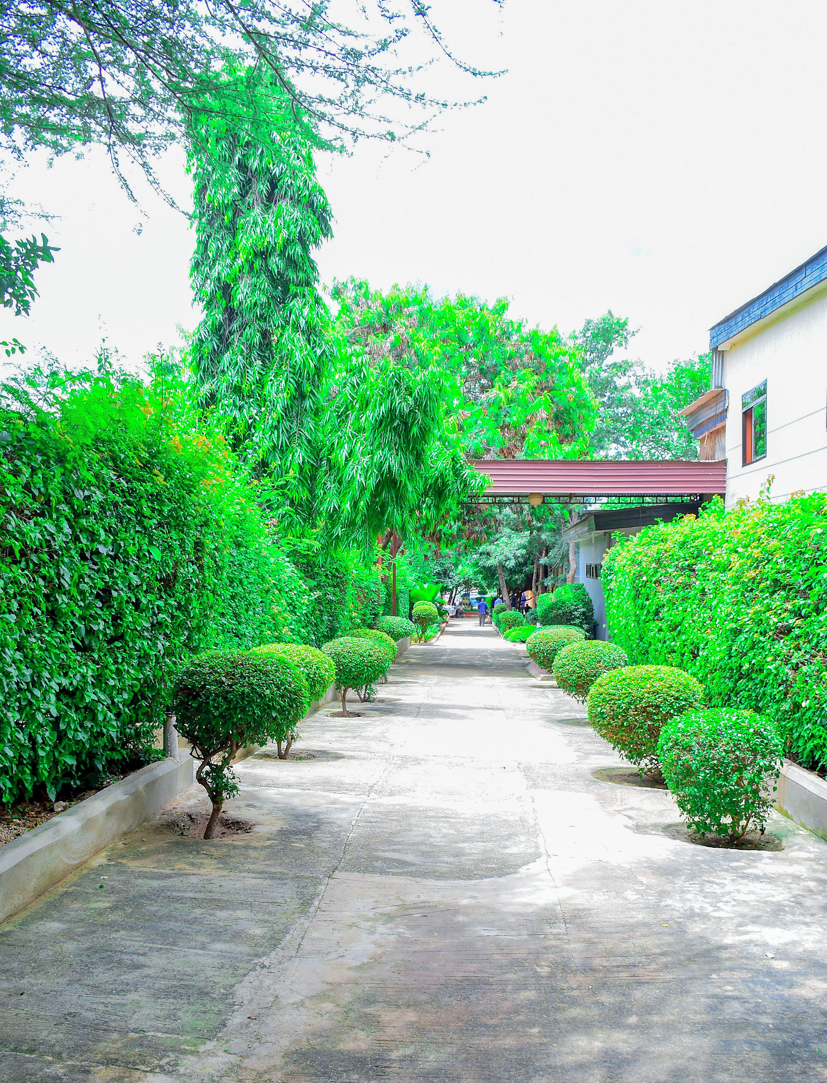 Enceinte de l’hébergement