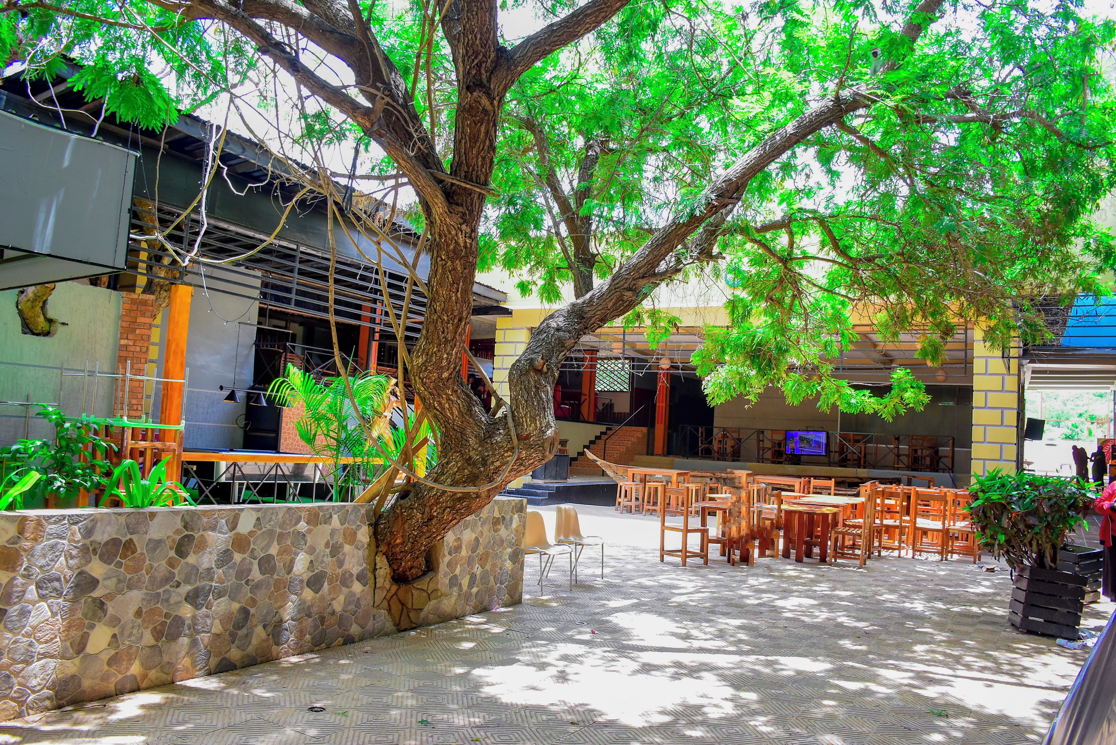 屋外ダイニングエリア