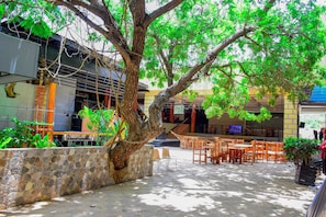 An outdoor seating area with stone walls, wooden tables and chairs, and a large tree providing shade.