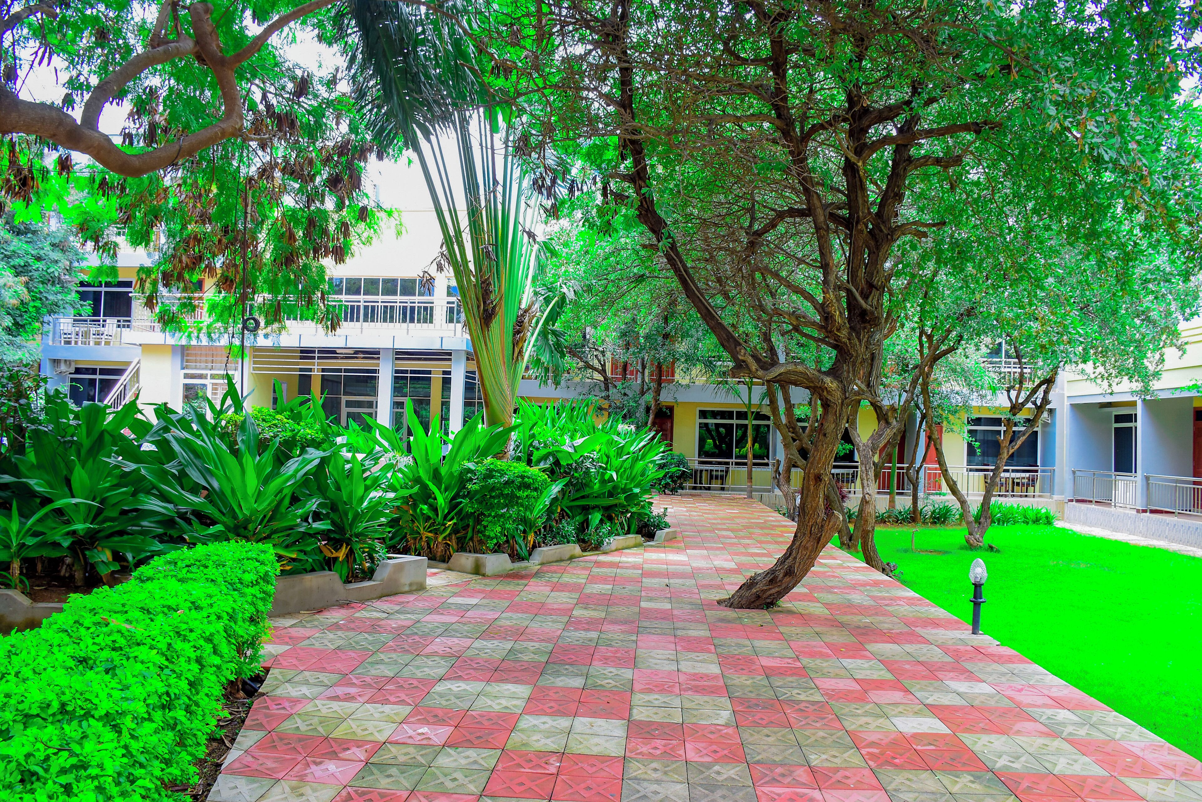 A courtyard with a tiled walkway, green plants, and trees.